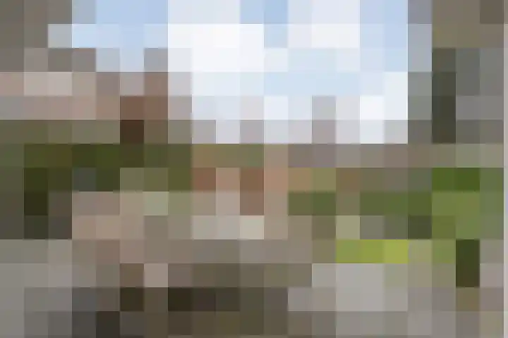 van Dieststraat 3 Ootmarsum thumbnail 29