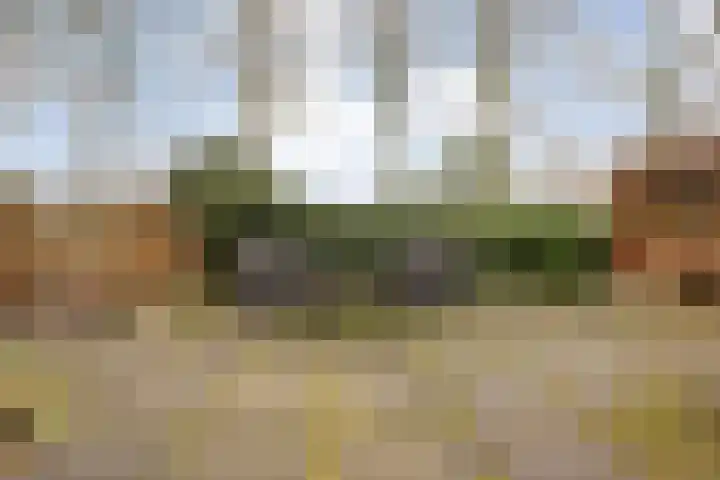 van Dieststraat 3 Ootmarsum thumbnail 30