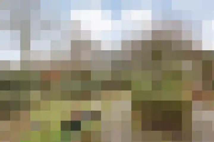 van Dieststraat 3 Ootmarsum thumbnail 31