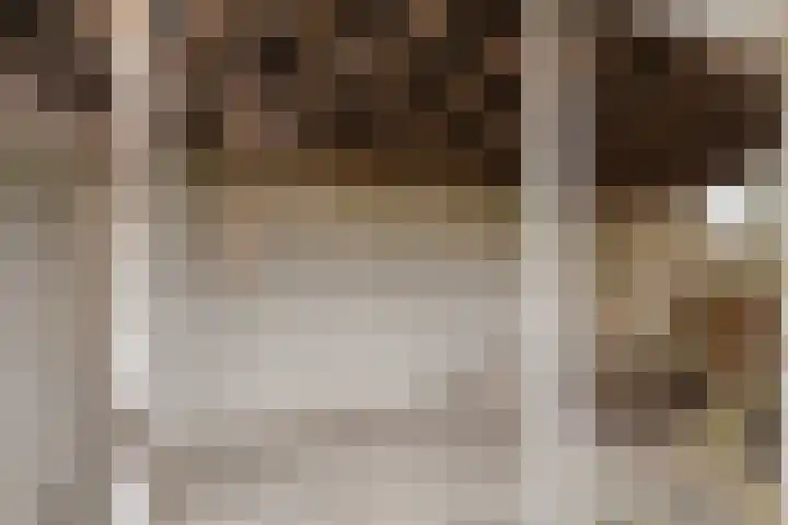 van Dieststraat 3 Ootmarsum thumbnail 32