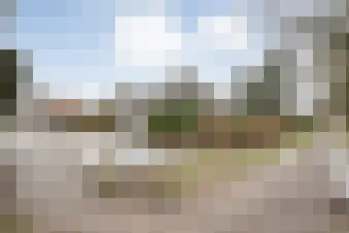 van Dieststraat 3 Ootmarsum thumbnail 34