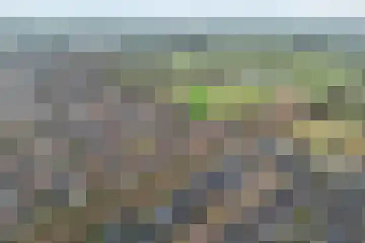 van Dieststraat 3 Ootmarsum thumbnail 36