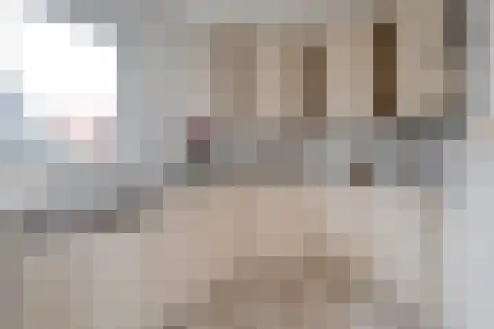 van Dieststraat 3 Ootmarsum thumbnail 7