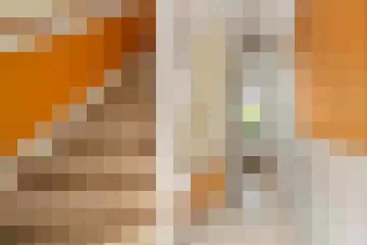 Van Dieststraat 31 Rotterdam thumbnail 19