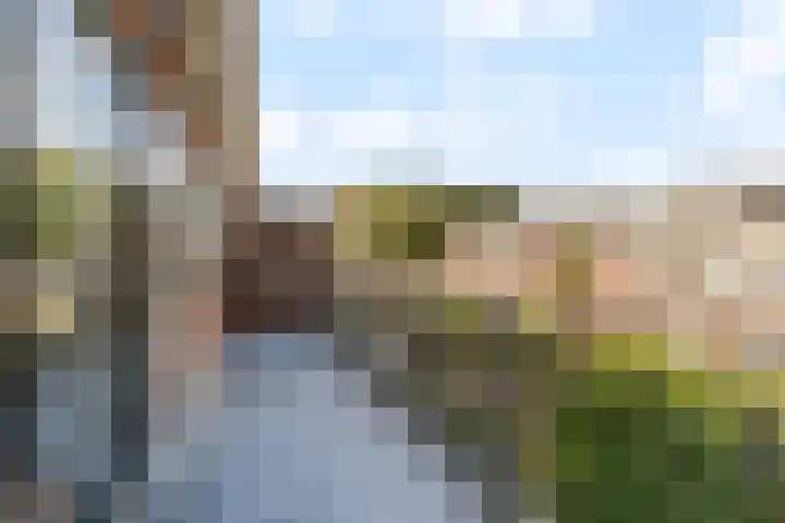 Van Dieststraat 31 Rotterdam thumbnail 25