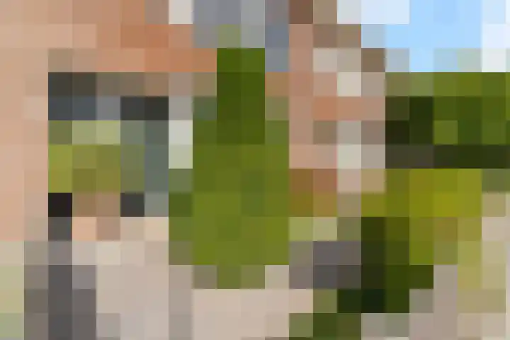 Van Dieststraat 31 Rotterdam thumbnail 30