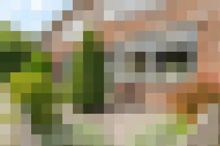 Van Dieststraat 31 Rotterdam thumbnail 31