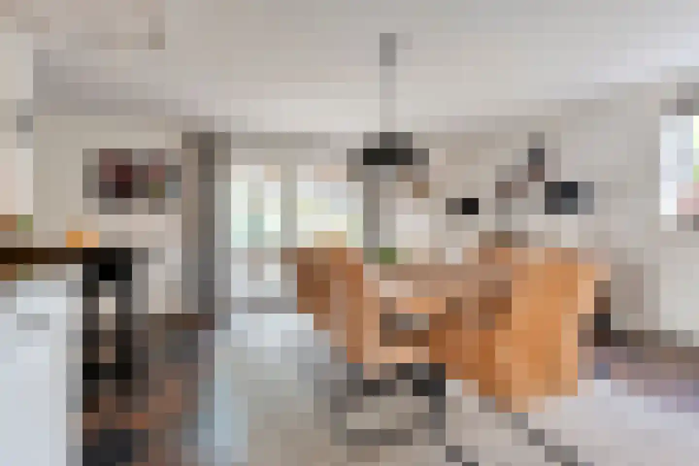 van Dieststraat 4 Ootmarsum thumbnail 10