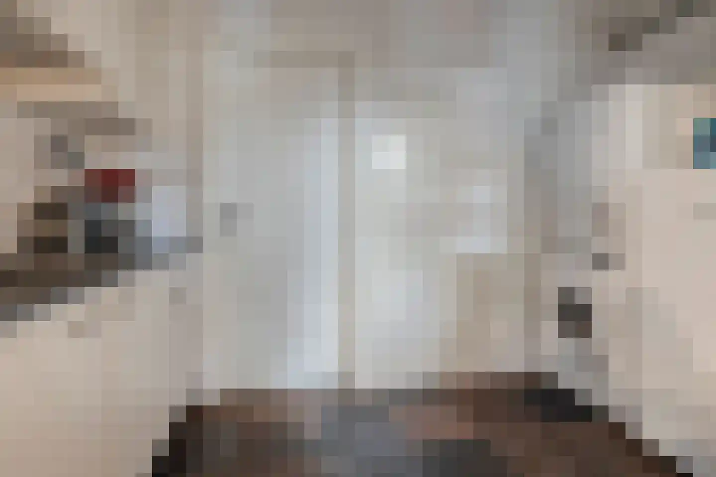 van Dieststraat 4 Ootmarsum thumbnail 14