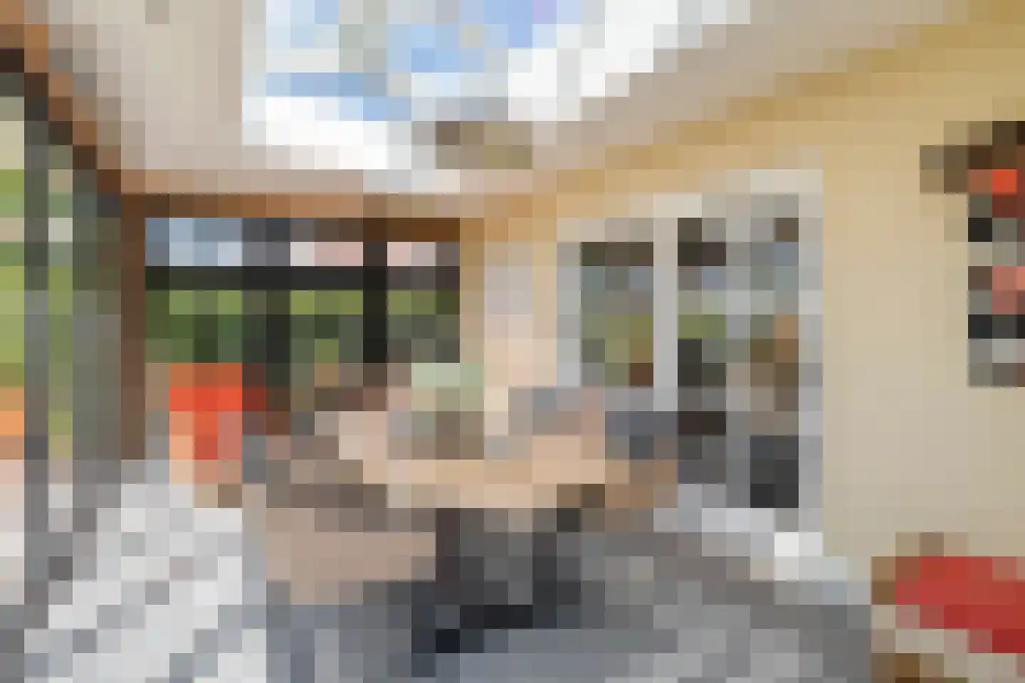 van Dieststraat 4 Ootmarsum thumbnail 15