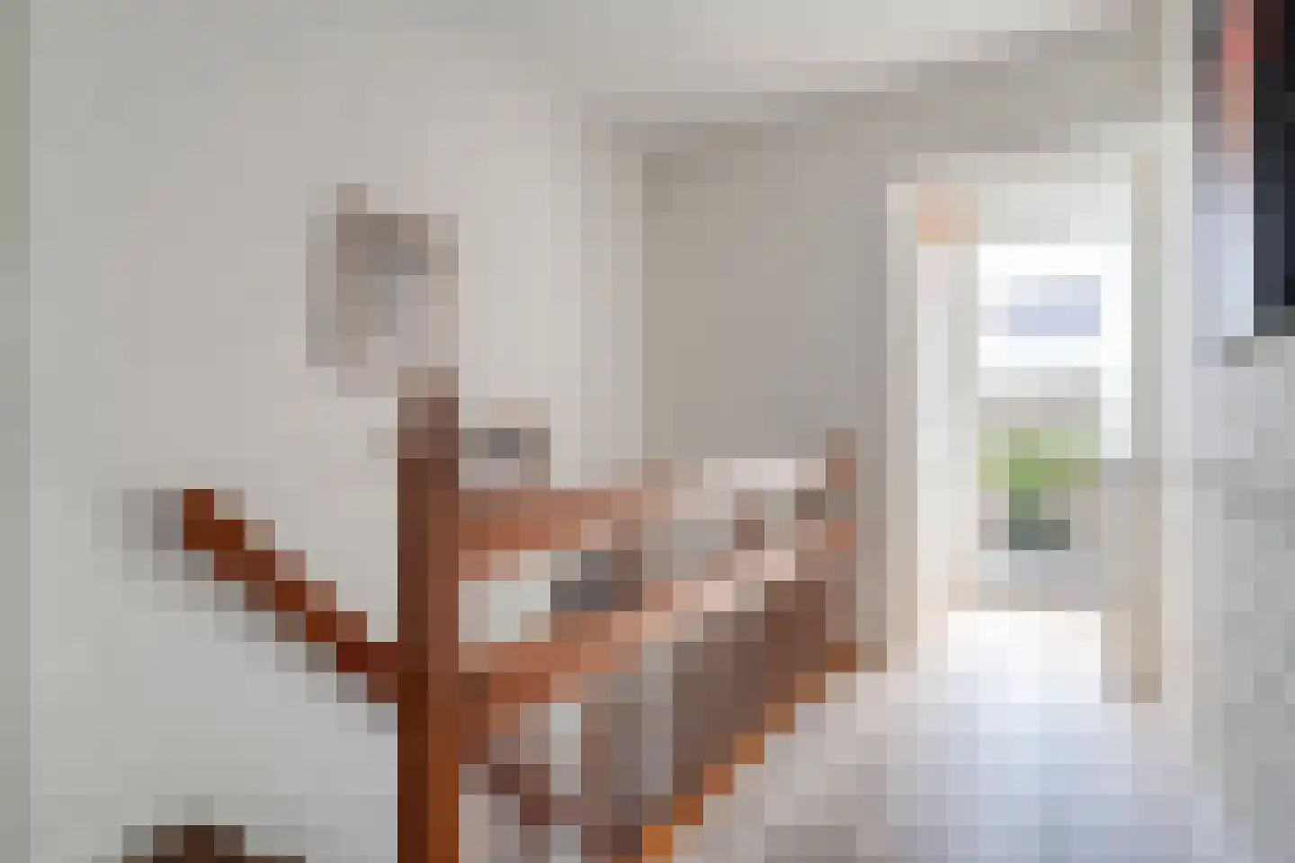 van Dieststraat 4 Ootmarsum thumbnail 16