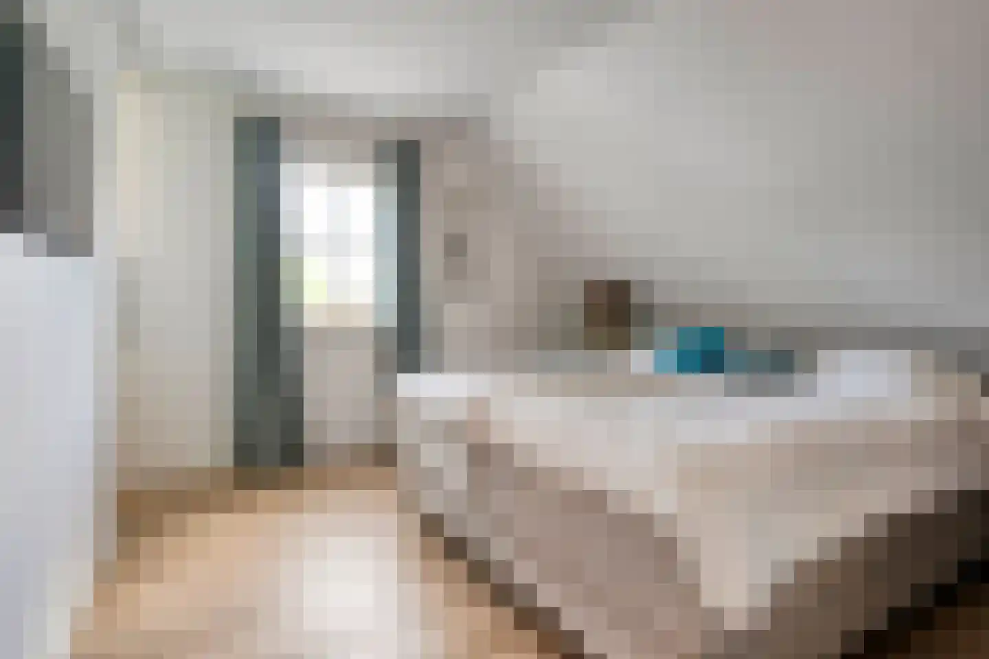 van Dieststraat 4 Ootmarsum thumbnail 17