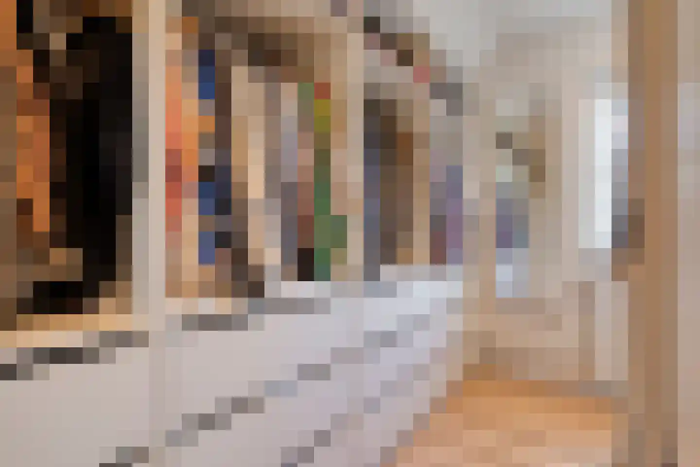 van Dieststraat 4 Ootmarsum thumbnail 19
