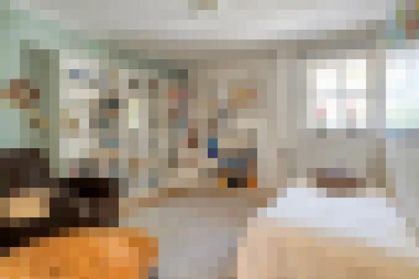 van Dieststraat 4 Ootmarsum thumbnail 20