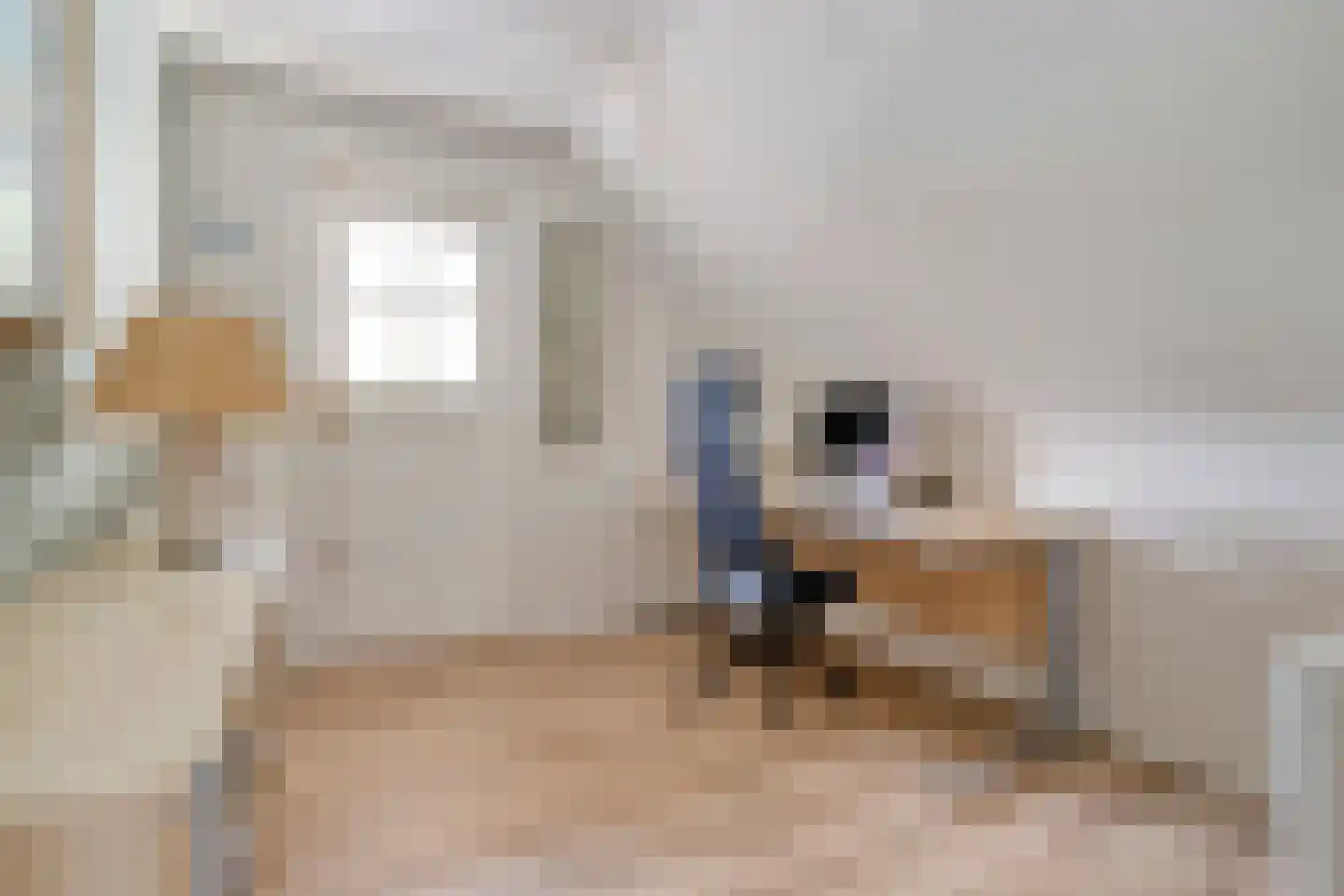 van Dieststraat 4 Ootmarsum thumbnail 21