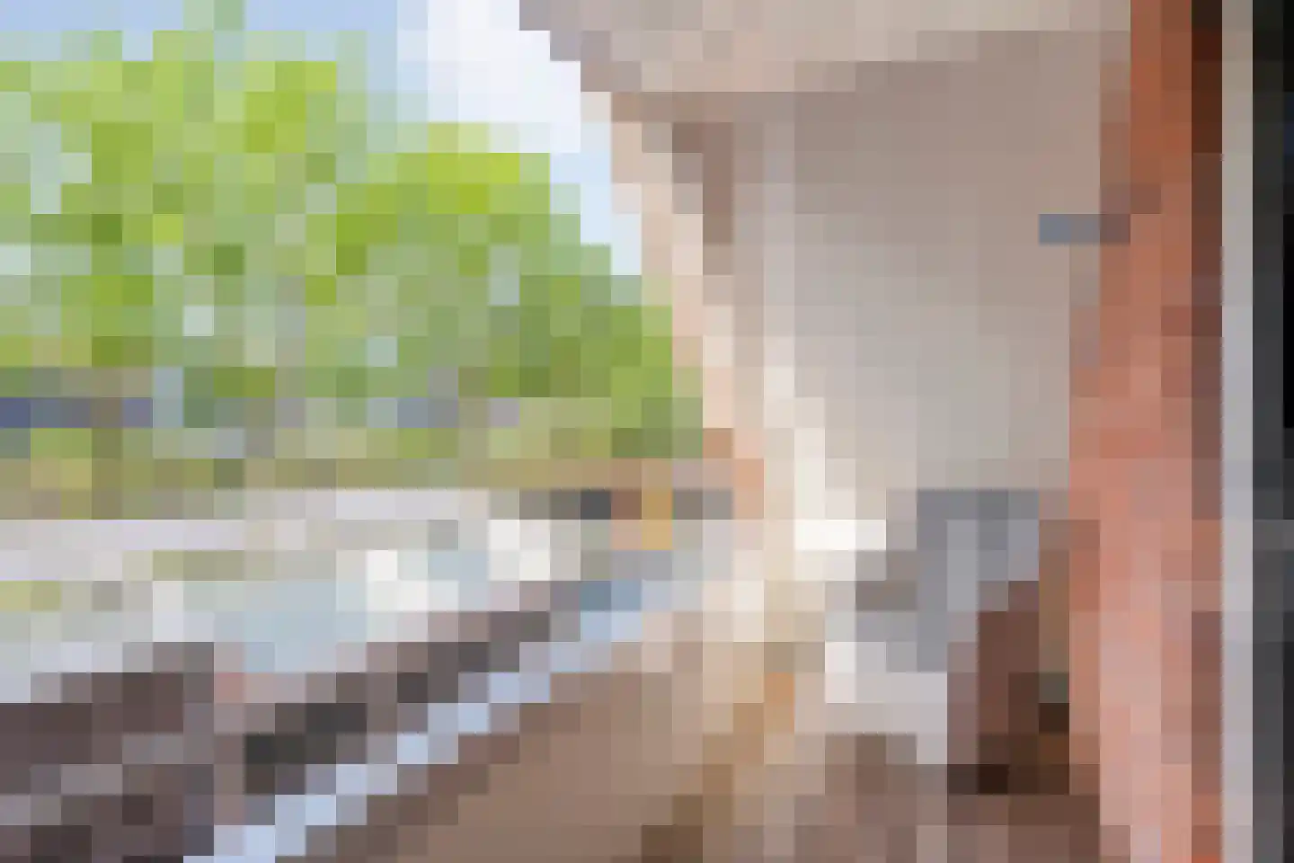 van Dieststraat 4 Ootmarsum thumbnail 22