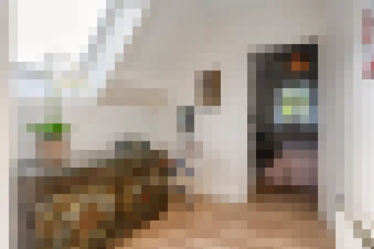 van Dieststraat 4 Ootmarsum thumbnail 25