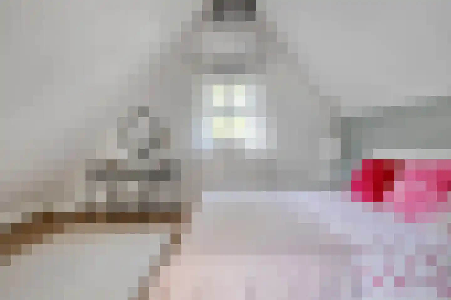van Dieststraat 4 Ootmarsum thumbnail 26