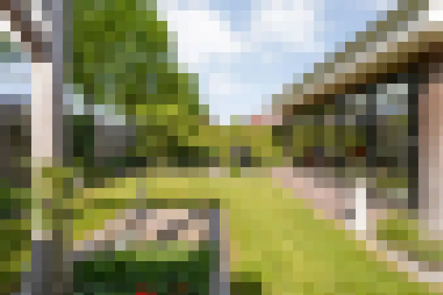 van Dieststraat 4 Ootmarsum thumbnail 29