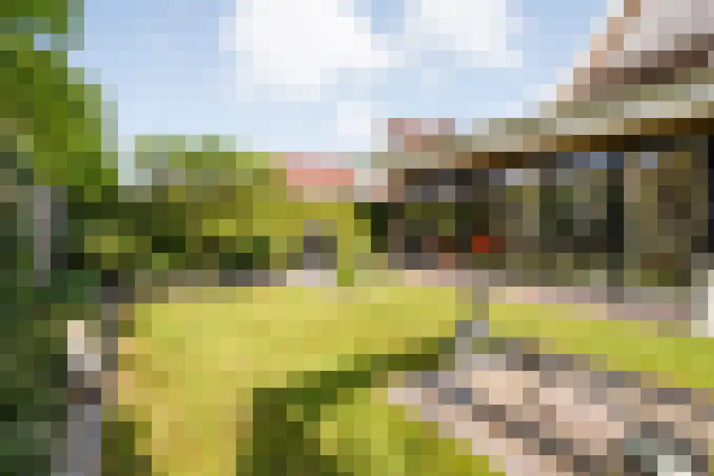 van Dieststraat 4 Ootmarsum thumbnail 30