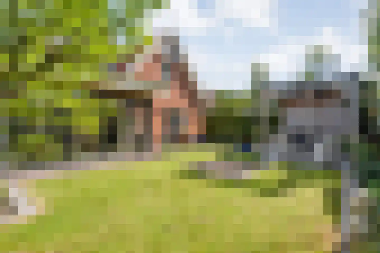 van Dieststraat 4 Ootmarsum thumbnail 32