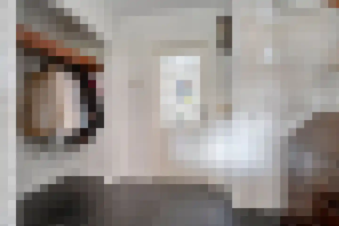 van Dieststraat 4 Ootmarsum thumbnail 6