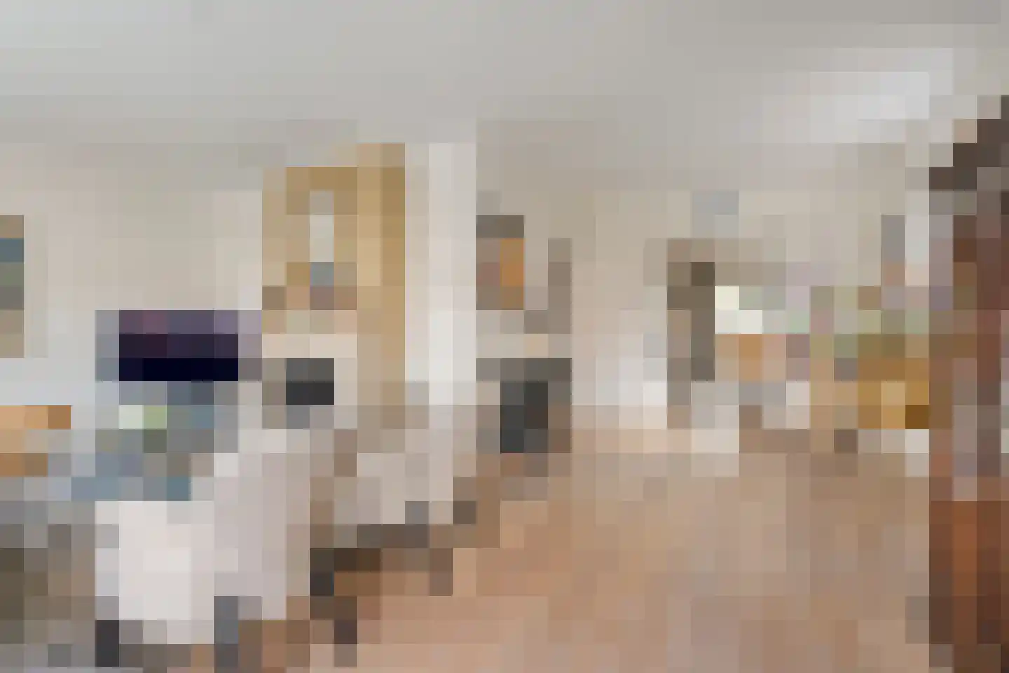 van Dieststraat 4 Ootmarsum thumbnail 7