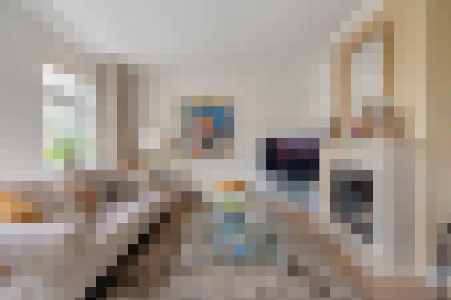 van Dieststraat 4 Ootmarsum thumbnail 8