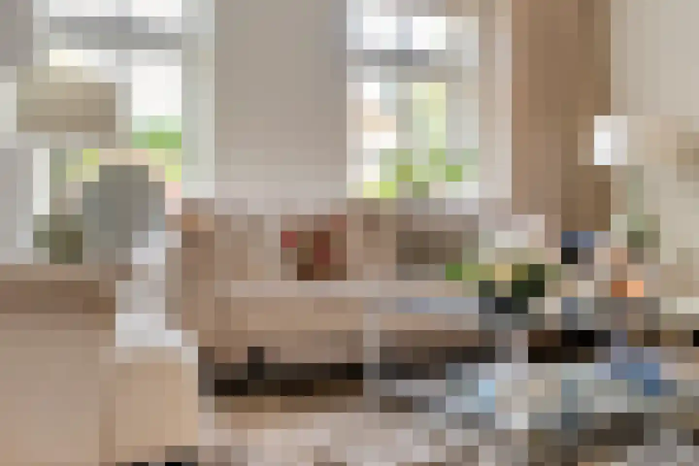 van Dieststraat 4 Ootmarsum thumbnail 9