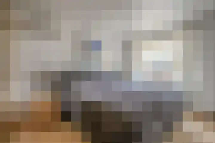 van Dietrichsteinstraat 1 Kerkrade thumbnail 12