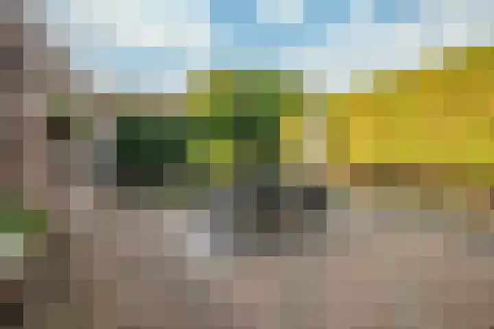 van Dietrichsteinstraat 1 Kerkrade thumbnail 18