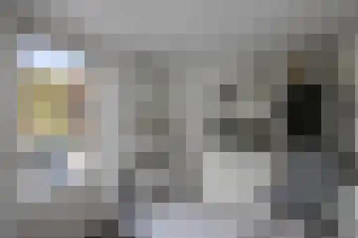 van Dietrichsteinstraat 1 Kerkrade thumbnail 21