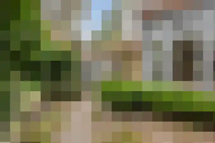 Van Dijcklaan 17 Bilthoven thumbnail 21