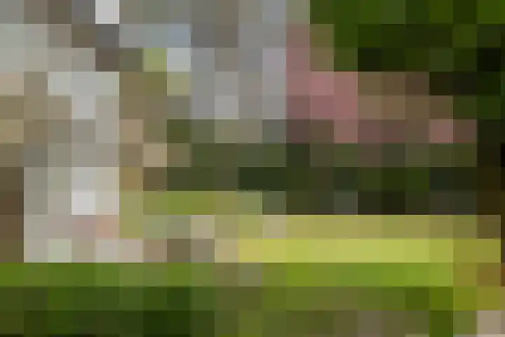 Van Dijcklaan 17 Bilthoven thumbnail 22