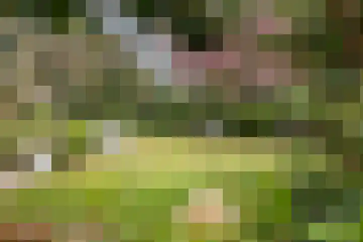 Van Dijcklaan 17 Bilthoven thumbnail 23