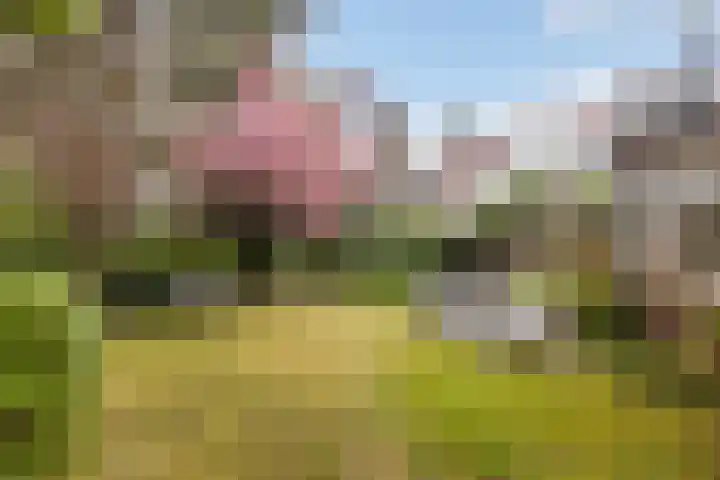 Van Dijcklaan 17 Bilthoven thumbnail 24