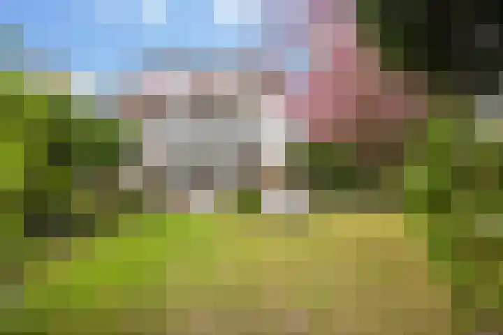 Van Dijcklaan 17 Bilthoven thumbnail 25