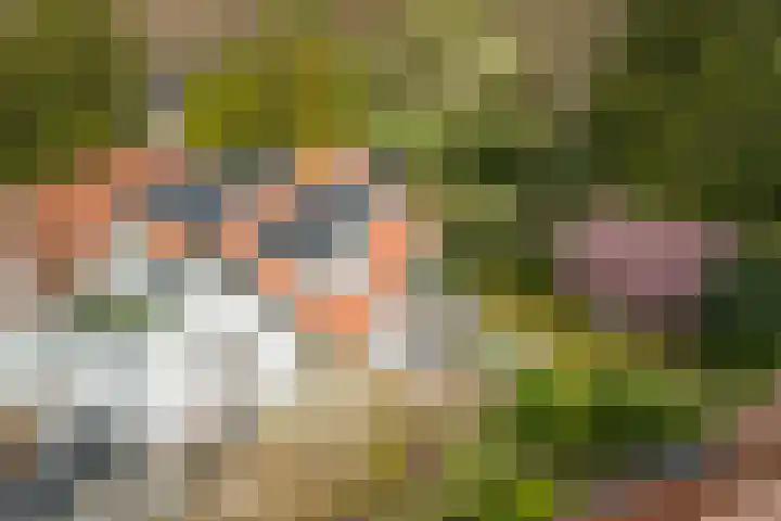 Van Dijcklaan 17 Bilthoven thumbnail 26