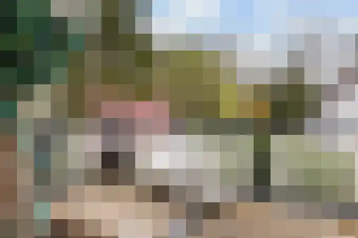 Van Dijcklaan 17 Bilthoven thumbnail 30
