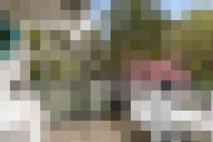 Van Dijcklaan 17 Bilthoven thumbnail 31
