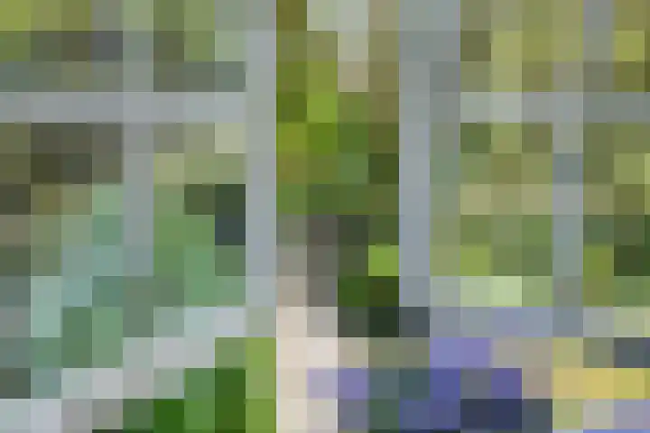 Van Dijcklaan 17 Bilthoven thumbnail 34