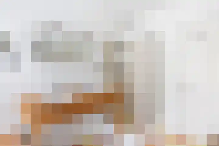 Van Dijcklaan 17 Bilthoven thumbnail 39