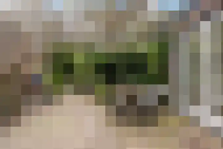 Van Dijcklaan 17 Bilthoven thumbnail 4