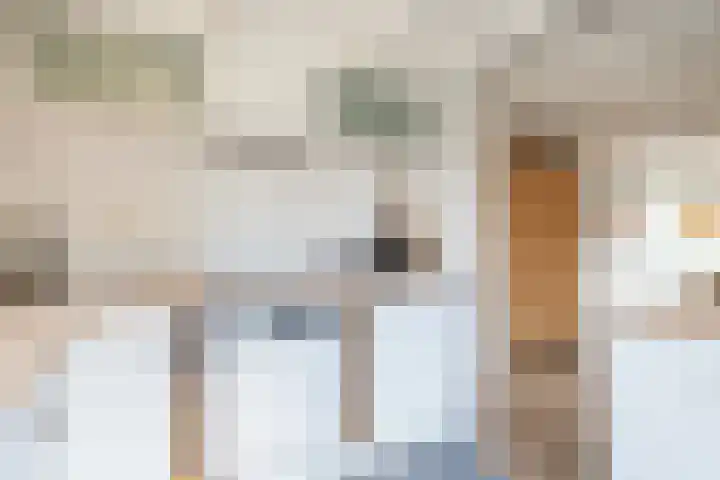 Van Dijcklaan 17 Bilthoven thumbnail 47