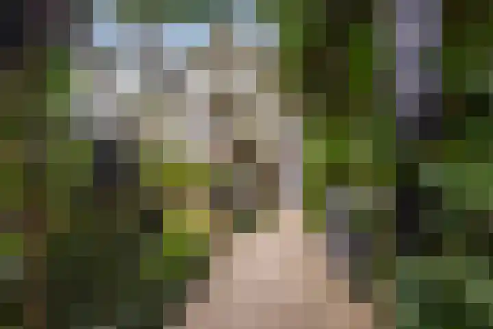Van Dijcklaan 17 Bilthoven thumbnail 5