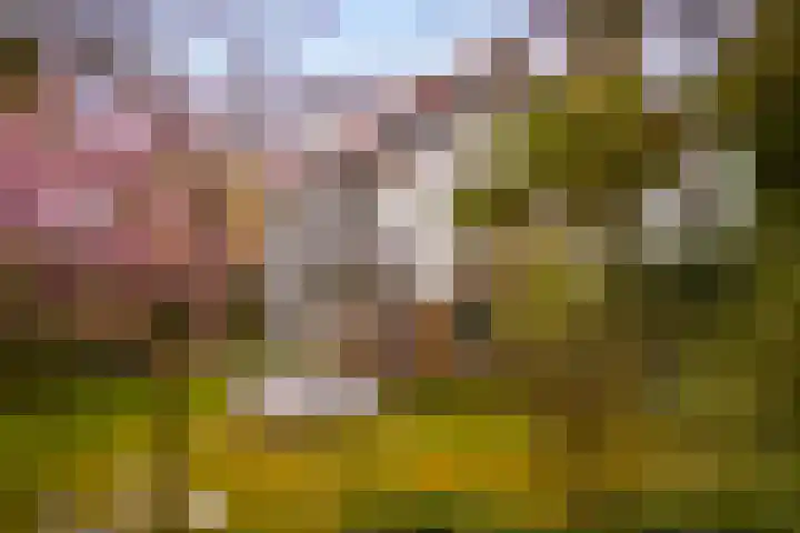 Van Dijcklaan 17 Bilthoven thumbnail 54