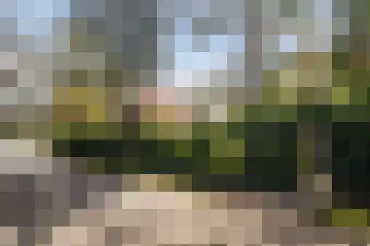 Van Dijcklaan 17 Bilthoven thumbnail 58