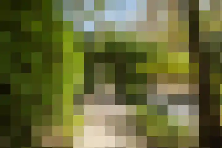 Van Dijcklaan 17 Bilthoven thumbnail 6
