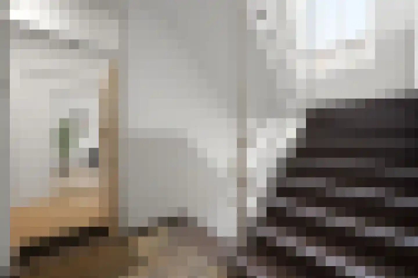 van Dijcklaan 29 Rijswijk thumbnail 12