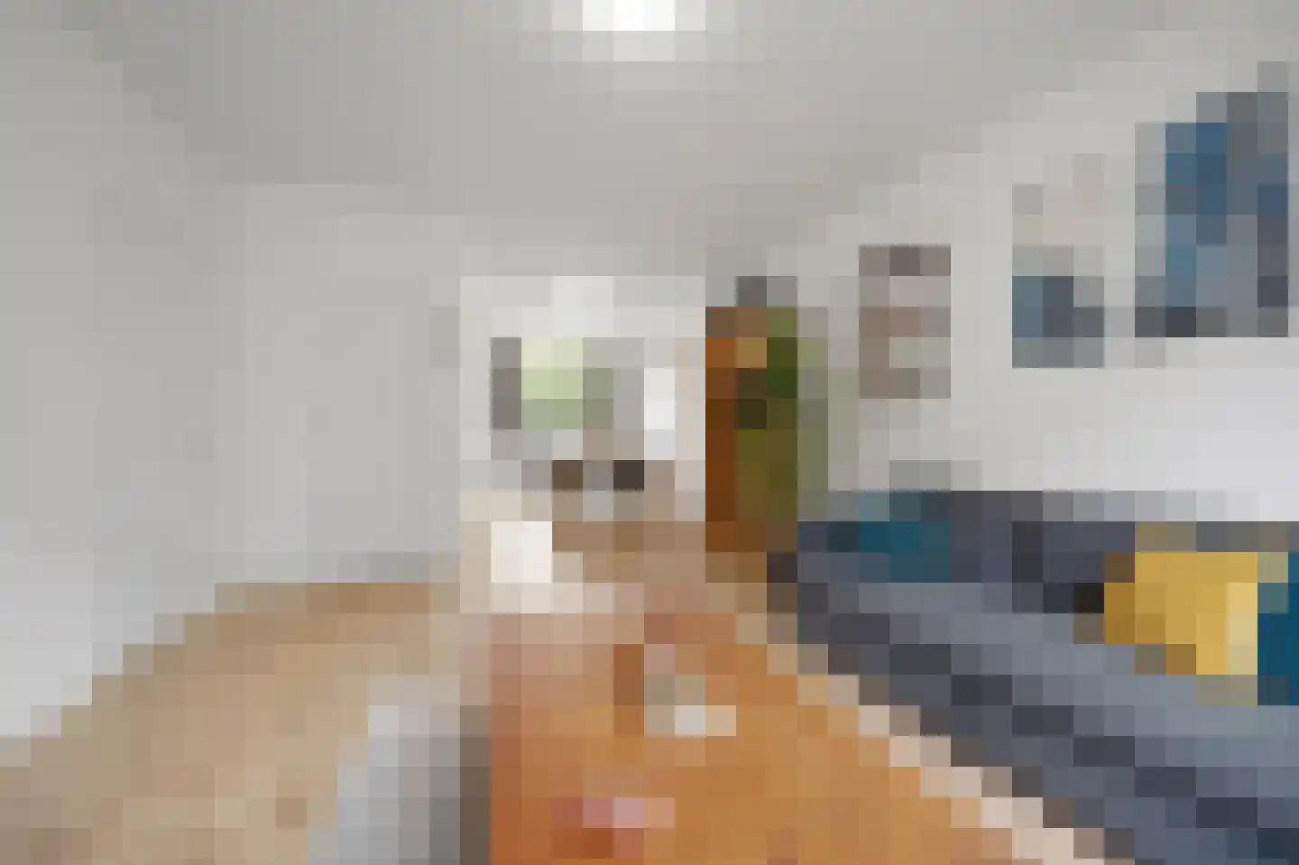 van Dijcklaan 29 Rijswijk thumbnail 14